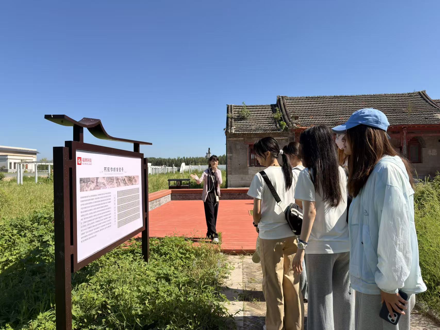寻根东阿老城，探寻千年胶韵——东北大学材